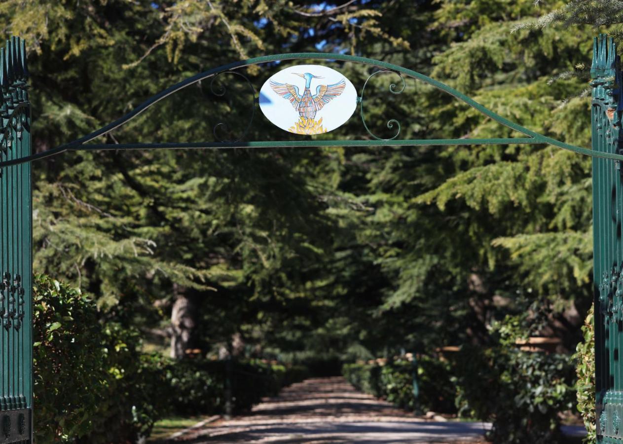 Villa Fenicia Ruvo di Puglia Luaran gambar